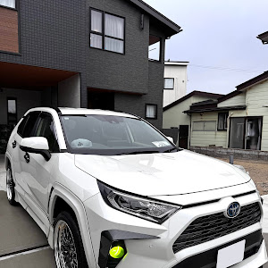 RAV4 AXAH54