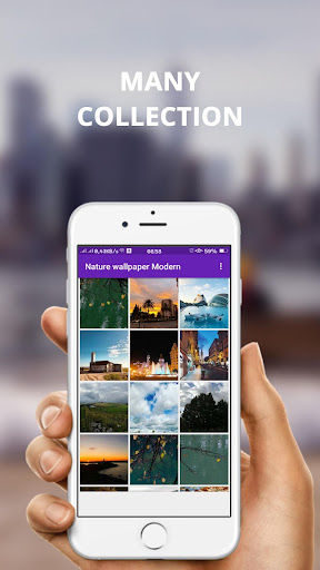 Wallpaper Nature Modern