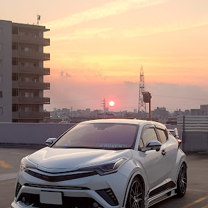 C-HR NGX10