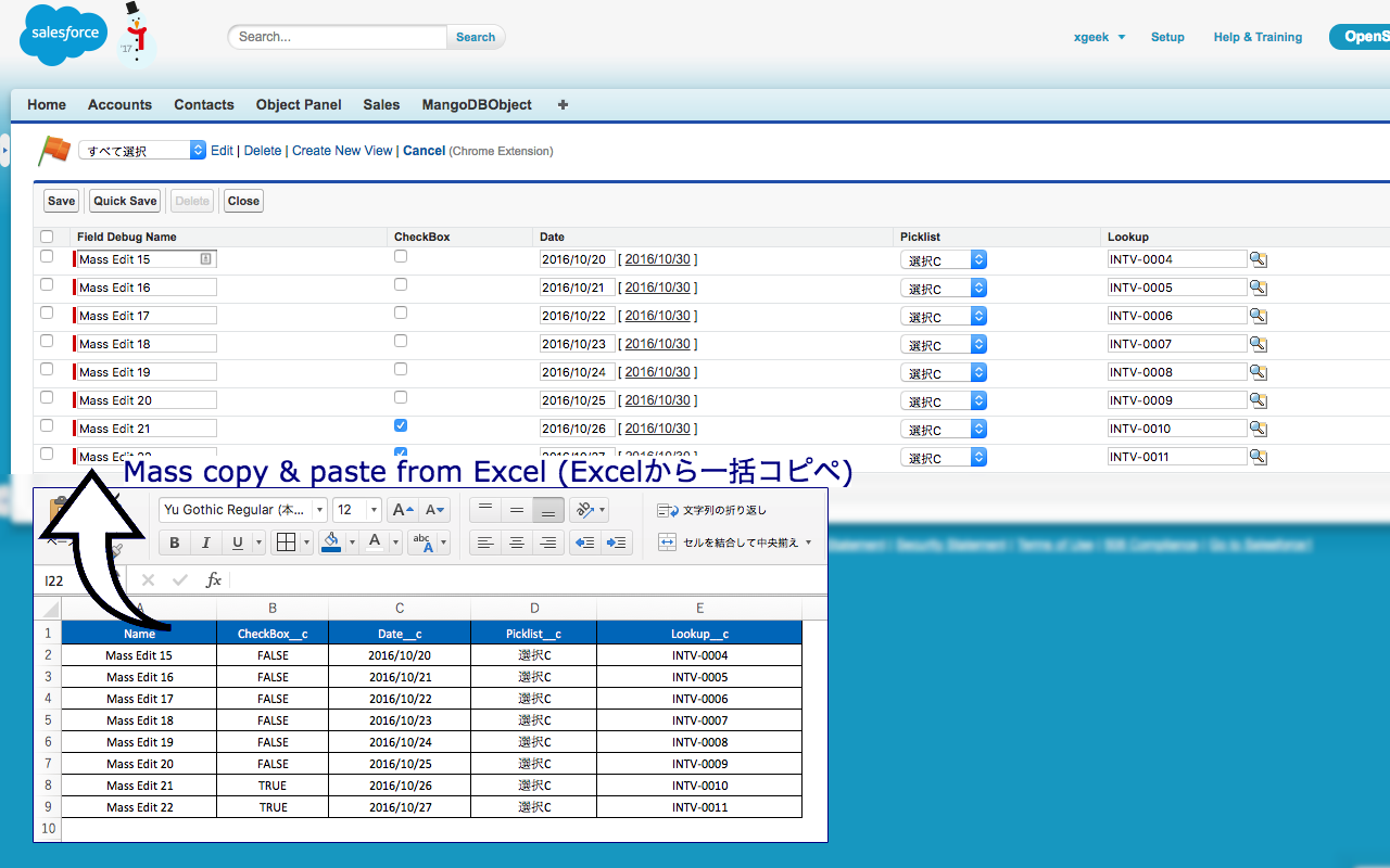 Salesforce Mass Editor Preview image 4