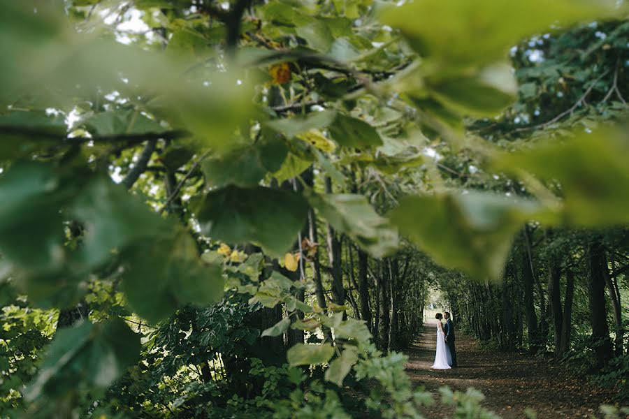 Fotógrafo de casamento Roman Kozhin (dzhin09). Foto de 11 de dezembro 2014