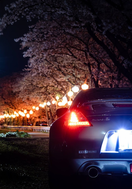 フェアレディZの撮影スポット探し・サクラと愛車・桜とコラボ🌸・夜桜に関するカスタム事例の投稿画像4枚目