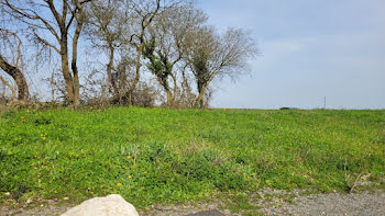 terrain à Sainte-Soulle (17)