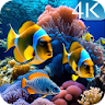 Aquarium Live Wallpaper icon