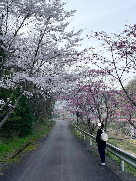 の投稿画像3枚目