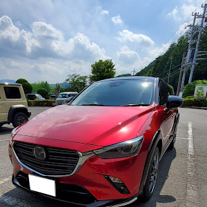 CX-3 DKLFY