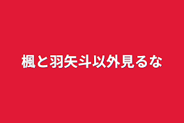 楓と羽矢斗以外見るな