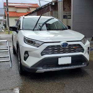 RAV4 AXAH54