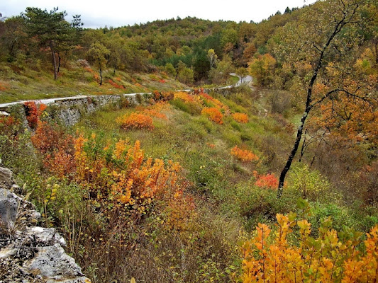 Viaggio nel colore di maurizio