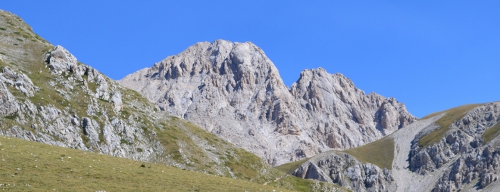 Nonostante i dolori torniamo a volare di selvaggia