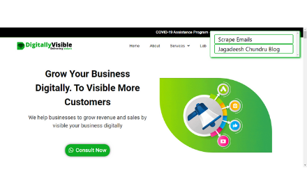 Visible Email Scraper Preview image 0