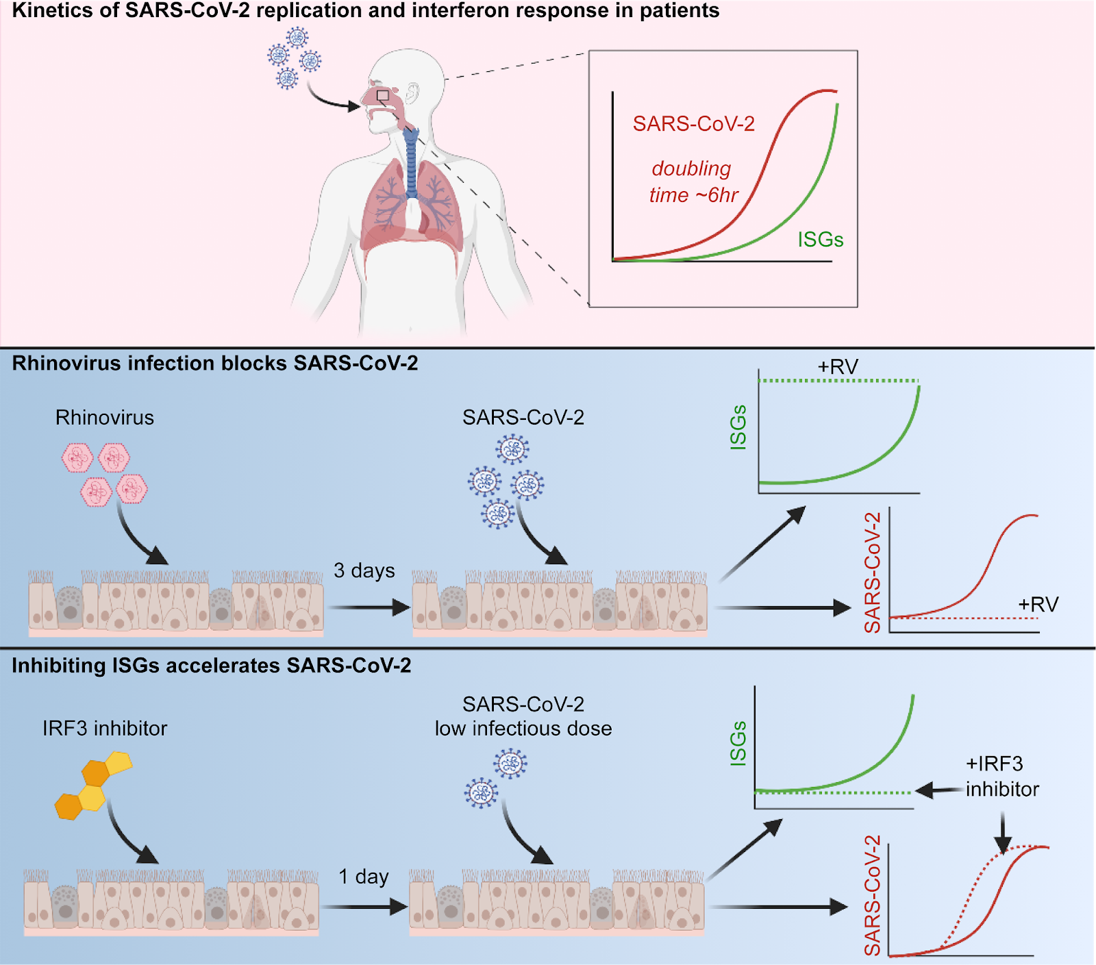 A supporting image within the article body