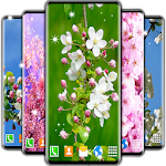 Cover Image of Descargar flor de cerezo fondo de pantalla en vivo 6.4.0 APK