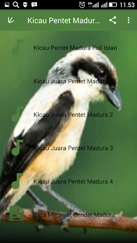 Download Kicau Pentet Madura Juara Apk Latest Version App By Wahyu