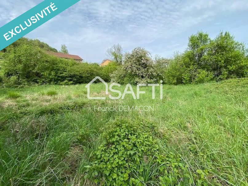 Vente terrain  1825 m² à Montmédy (55600), 12 000 €