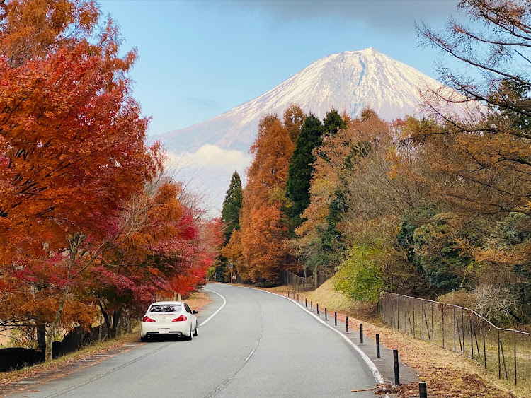 の投稿画像1枚目