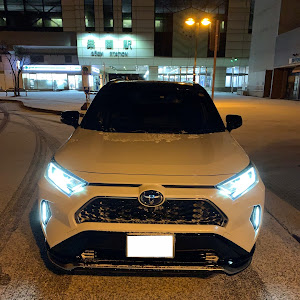 RAV4 AXAP54