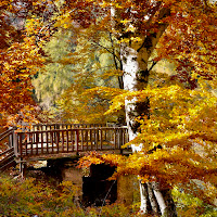 Autunno Trentino di 