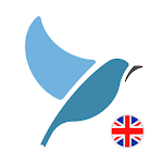 Cover Image of Herunterladen Learn British English. Speak British English. 1.4.6 APK