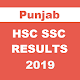 Download Punjab HSC SSC Results 2019 For PC Windows and Mac