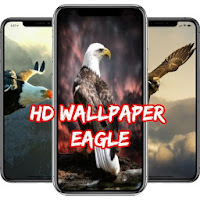 Wallpaper Eagle - Wallpaper HD 4K