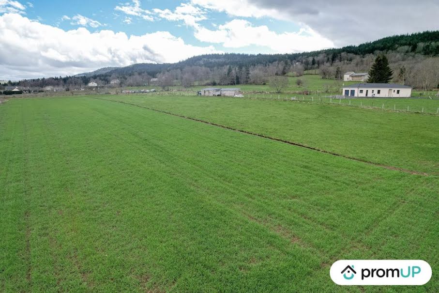 Vente terrain  8830 m² à Araules (43200), 139 000 €