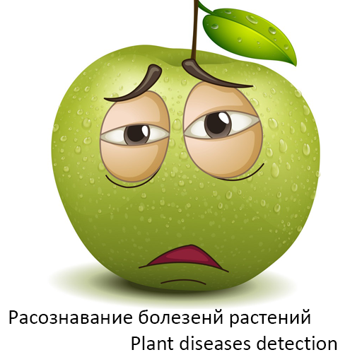 PDDApp PLANT DISEASE DETECTION