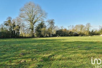 terrain à Le Theil-en-Auge (14)