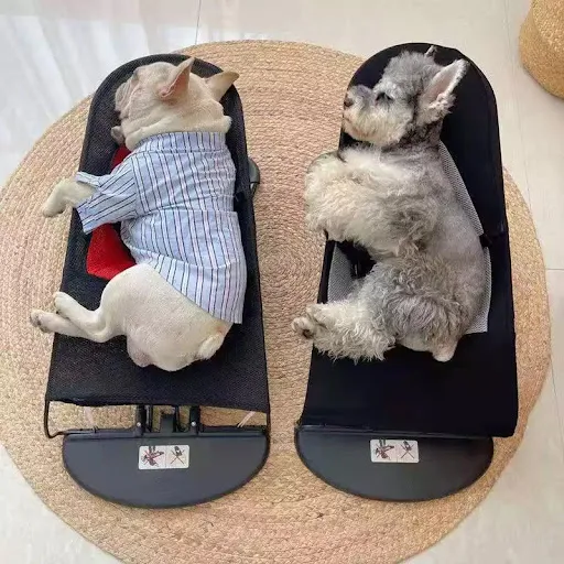 Portable Dog Cat Rocking Chair Pet Rocking Bed Spring Recliner Puppy Nest Folding House Comfort Nest for Pet Cat Dog Sup