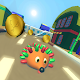 Hedgehog Pet Run Download on Windows