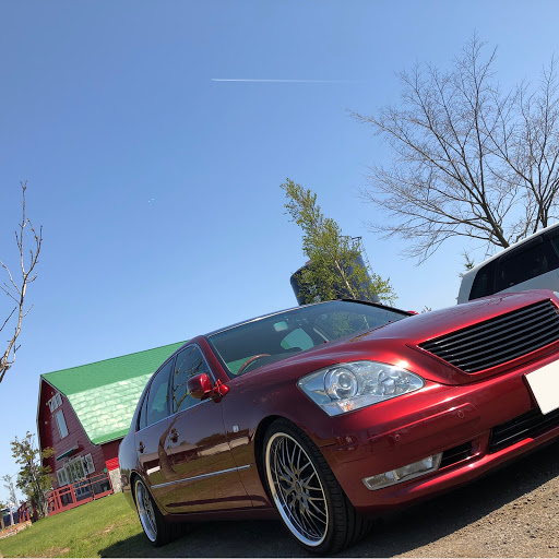 Dallasのプロフィール画像