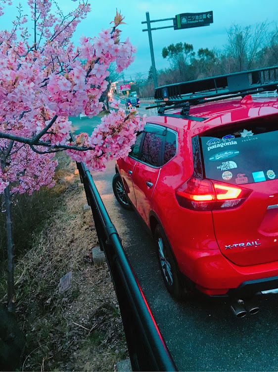 エクストレイルのエクストレイルT32・SUV・河津桜・ナイキ・39の日に関するカスタム事例の投稿画像3枚目