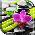 Orchid Live Wallpaper Apk