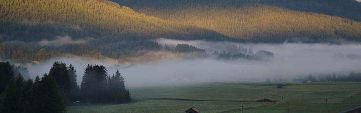 Nebbia di artu