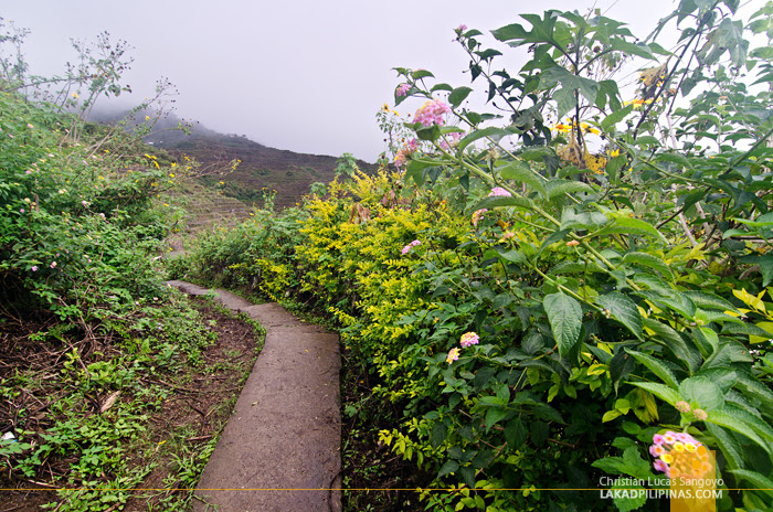 Maligcong Rice Terraces Concrete Trail