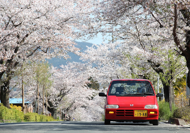 トゥデイのサクラと愛車に関するカスタム事例の投稿画像1枚目