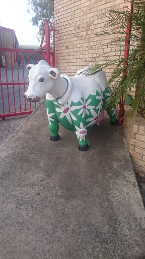 Daisy the Cow