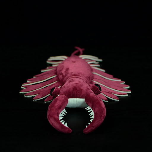 Title 5, Original Paleontology Series Simulation Broom-s...