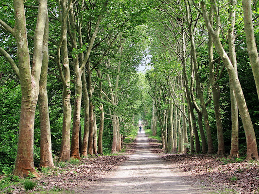 Nel parco di MicheleSpadafina