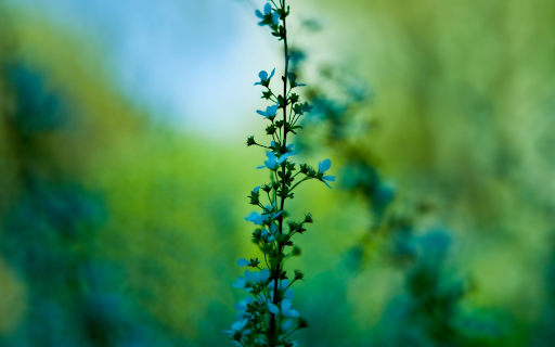 Spring Twig screenshot 1