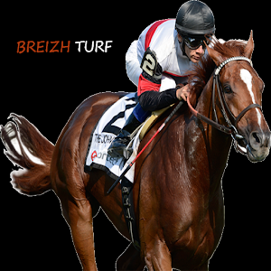 Breizh Turf logo