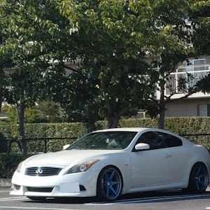 スカイライン V36