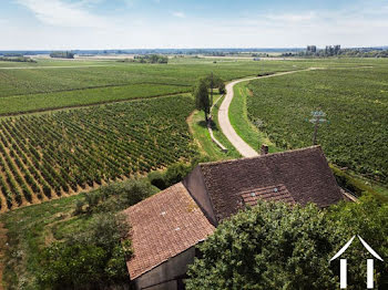 maison à Meursault (21)