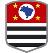 Campeonato Paulista 2019 2.2 Icon