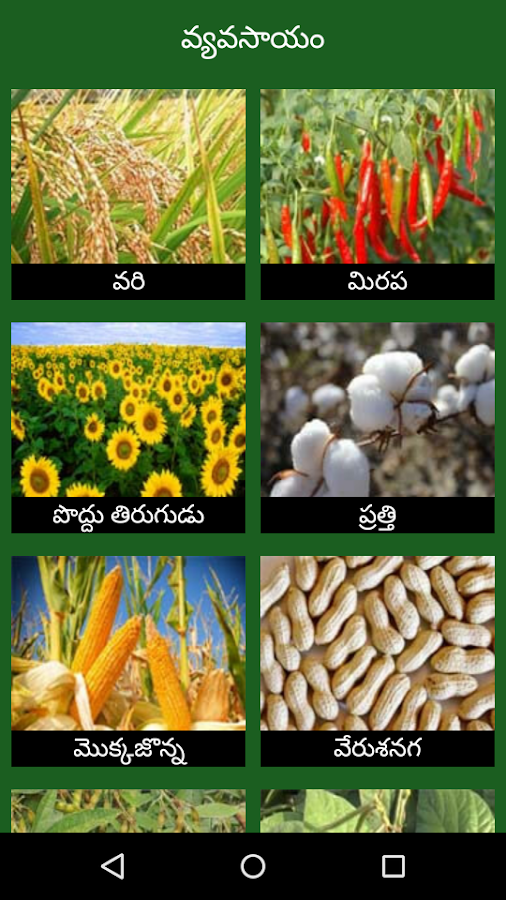 agriculture essay in telugu