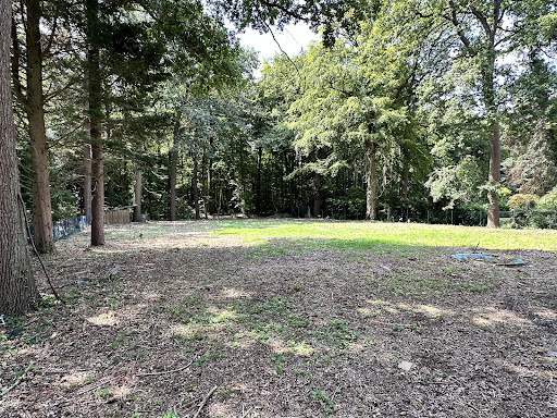 Land 2