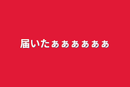 届いたぁぁぁぁぁぁ