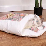 B-Pink cat