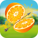 Fruit Cut 3D - 3D Archery Shooting Game