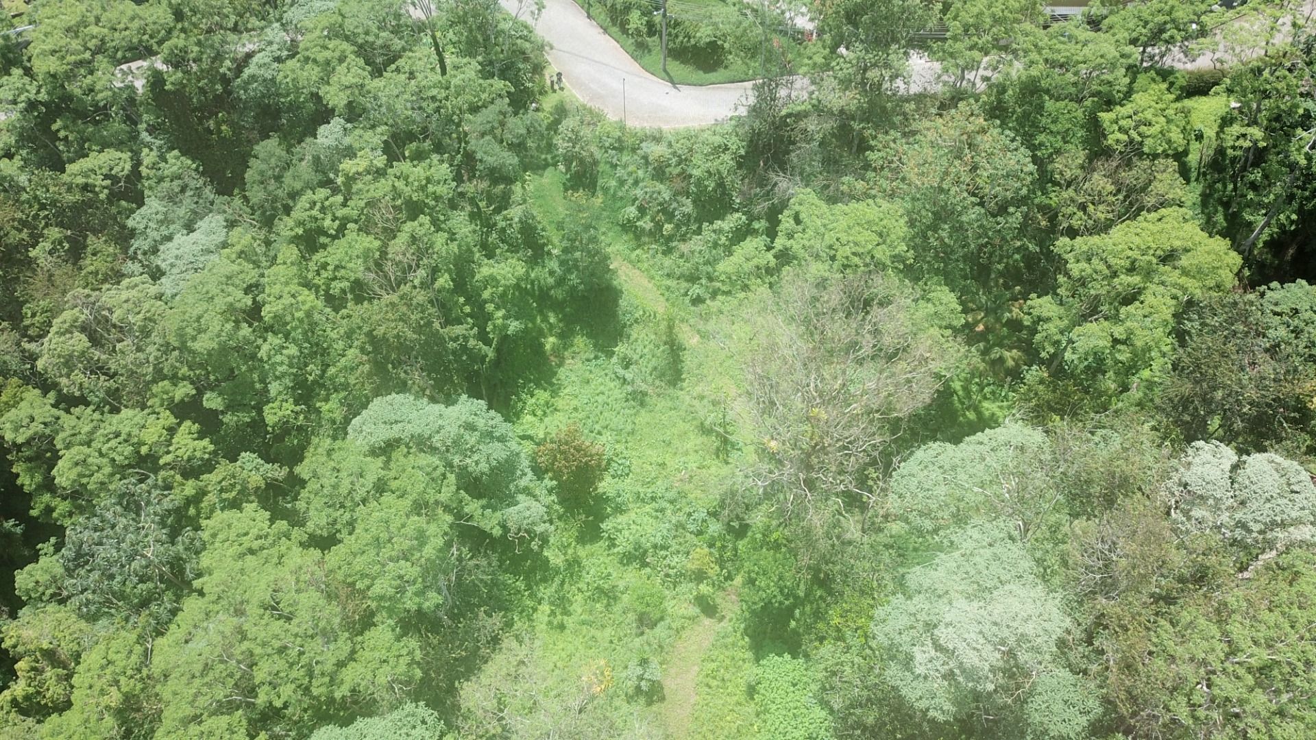 Terreno Residencial à venda em Centro, Nova Friburgo - RJ - Foto 5